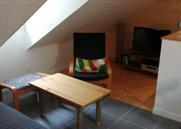 Appartement Mansarde Et Chaleureux Au Coeur De Cauterets
